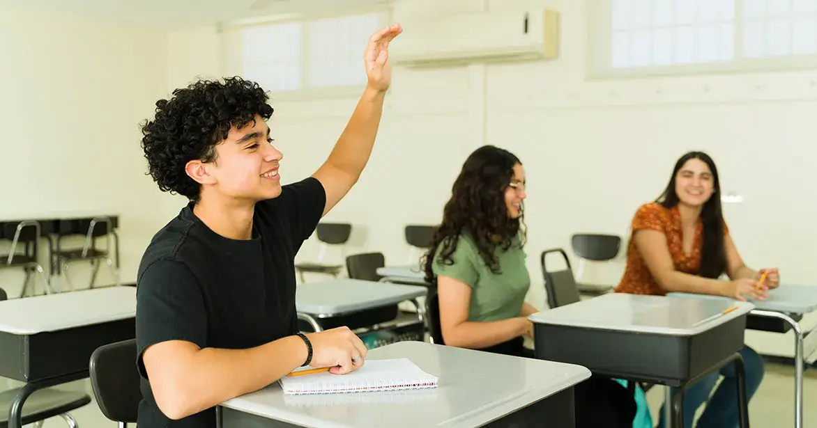 Normalize Curiosity Teen boy raising hand in class