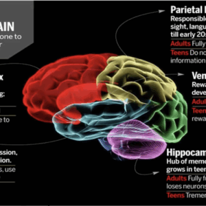 Project Equip – Advancing Youth Dev.